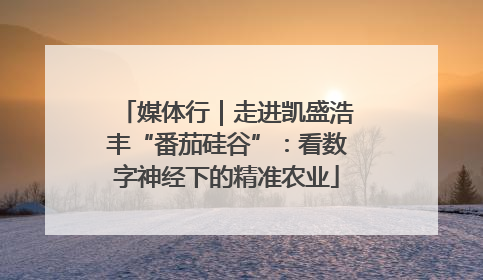 媒体行｜走进凯盛浩丰“番茄硅谷”：看数字神经下的精准农业