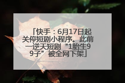 快手：6月17日起关停短剧小程序。此前一逆天短剧“1胎生99子”被全网下架