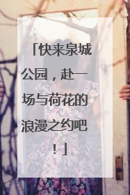 快来泉城公园，赴一场与荷花的浪漫之约吧！