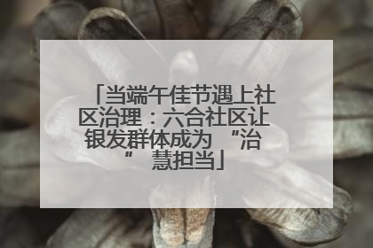 当端午佳节遇上社区治理：六合社区让银发群体成为 “治” 慧担当