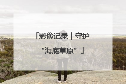 影像记录｜守护“海底草原”
