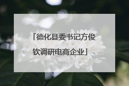 德化县委书记方俊钦调研电商企业
