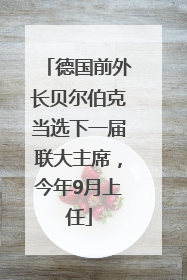 德国前外长贝尔伯克当选下一届联大主席，今年9月上任