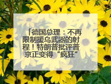 德国总理：不再限制援乌武器的射程！特朗普批评普京正变得“疯狂”，俄方最新回应