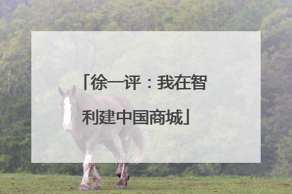 徐一评：我在智利建中国商城