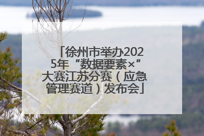 徐州市举办2025年“数据要素×”大赛江苏分赛（应急管理赛道）发布会