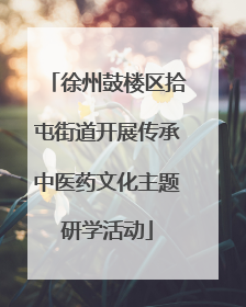 徐州鼓楼区拾屯街道开展传承中医药文化主题研学活动