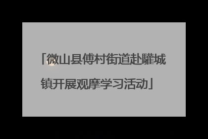 微山县傅村街道赴驩城镇开展观摩学习活动