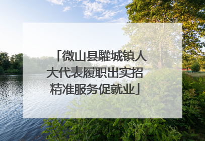 微山县驩城镇人大代表履职出实招精准服务促就业