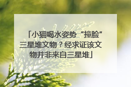 小猫喝水姿势“撞脸”三星堆文物？经求证该文物并非来自三星堆