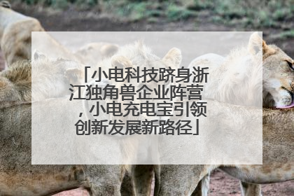 小电科技跻身浙江独角兽企业阵营，小电充电宝引领创新发展新路径