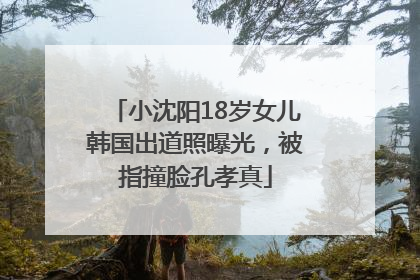 小沈阳18岁女儿韩国出道照曝光，被指撞脸孔孝真