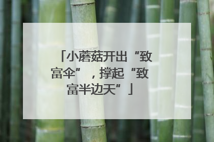 小蘑菇开出“致富伞”，撑起“致富半边天”