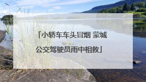 小轿车车头冒烟 蒙城公交驾驶员雨中相救