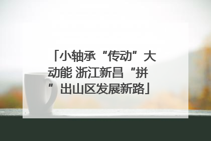 小轴承“传动”大动能 浙江新昌“拼”出山区发展新路
