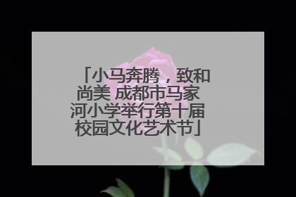 小马奔腾，致和尚美 成都市马家河小学举行第十届校园文化艺术节