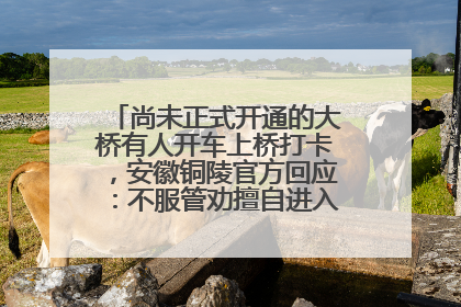 尚未正式开通的大桥有人开车上桥打卡，安徽铜陵官方回应：不服管劝擅自进入，已采取措施