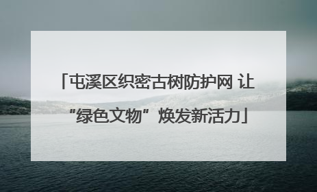 屯溪区织密古树防护网 让“绿色文物”焕发新活力