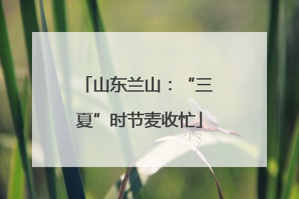 山东兰山：“三夏”时节麦收忙