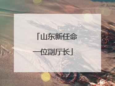 山东新任命一位副厅长