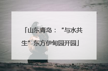 山东青岛：“与水共生”东方伊甸园开园