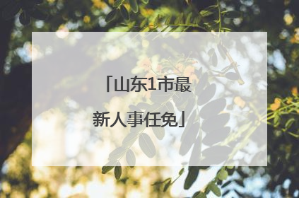 山东1市最新人事任免