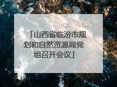 山西省临汾市规划和自然资源局党组召开会议