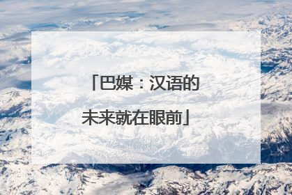 巴媒：汉语的未来就在眼前