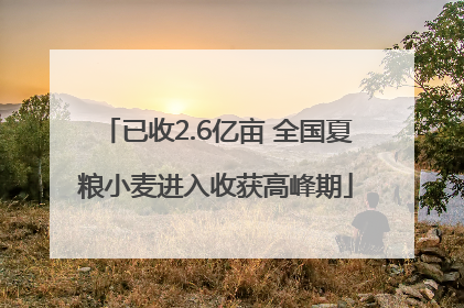 已收2.6亿亩 全国夏粮小麦进入收获高峰期