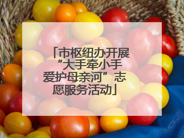 市枢纽办开展“大手牵小手 爱护母亲河”志愿服务活动