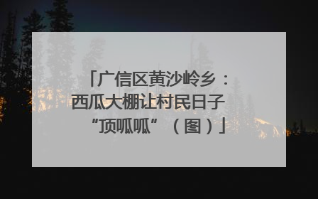 广信区黄沙岭乡：西瓜大棚让村民日子“顶呱呱”（图）