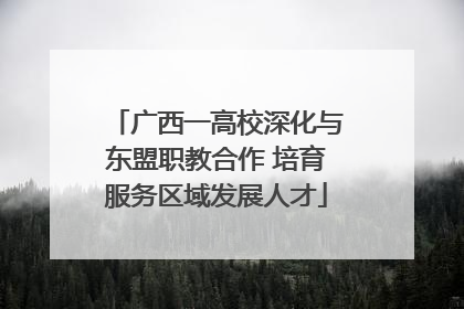 广西一高校深化与东盟职教合作 培育服务区域发展人才