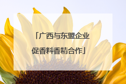 广西与东盟企业促香料香精合作