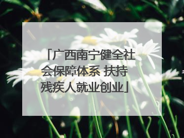 广西南宁健全社会保障体系 扶持残疾人就业创业