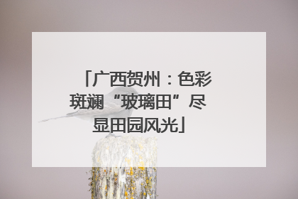 广西贺州：色彩斑斓“玻璃田”尽显田园风光