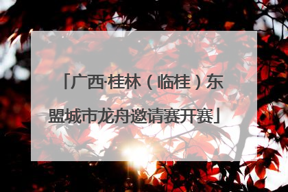 广西·桂林（临桂）东盟城市龙舟邀请赛开赛