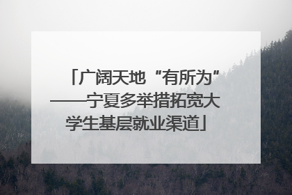 广阔天地“有所为”——宁夏多举措拓宽大学生基层就业渠道