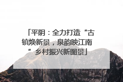 平阴：全力打造“古镇焕新景，泉韵映江南”乡村振兴新图景