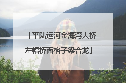 平陆运河金海湾大桥左幅桥面格子梁合龙