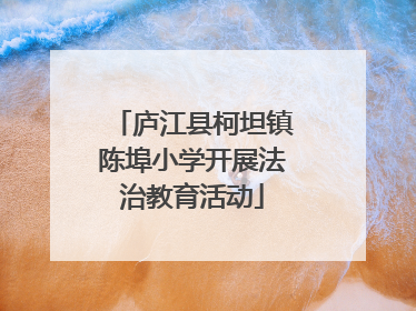 庐江县柯坦镇陈埠小学开展法治教育活动