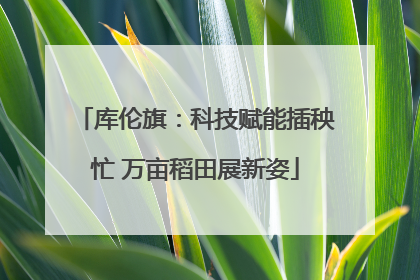 库伦旗：科技赋能插秧忙 万亩稻田展新姿