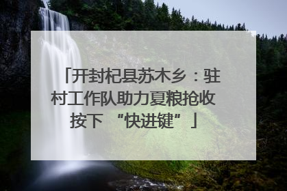 开封杞县苏木乡：驻村工作队助力夏粮抢收按下 “快进键”