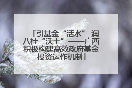 引基金“活水” 润八桂“沃土”——广西积极构建高效政府基金投资运作机制