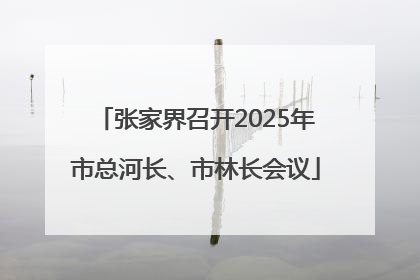 张家界召开2025年市总河长、市林长会议