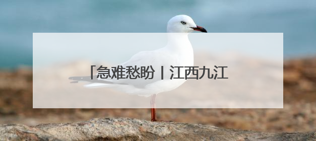 急难愁盼丨江西九江柴桑区：1500余人的出行难题正在解决