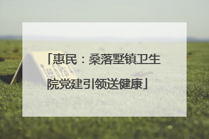 惠民：桑落墅镇卫生院党建引领送健康
