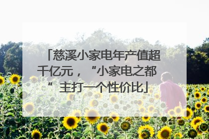 慈溪小家电年产值超千亿元，“小家电之都”主打一个性价比