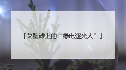戈壁滩上的“绿电逐光人”