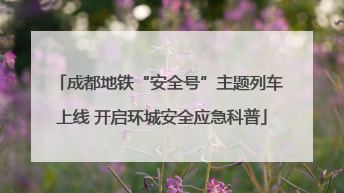 成都地铁“安全号”主题列车上线 开启环城安全应急科普