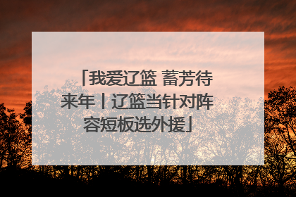 我爱辽篮 蓄芳待来年丨辽篮当针对阵容短板选外援